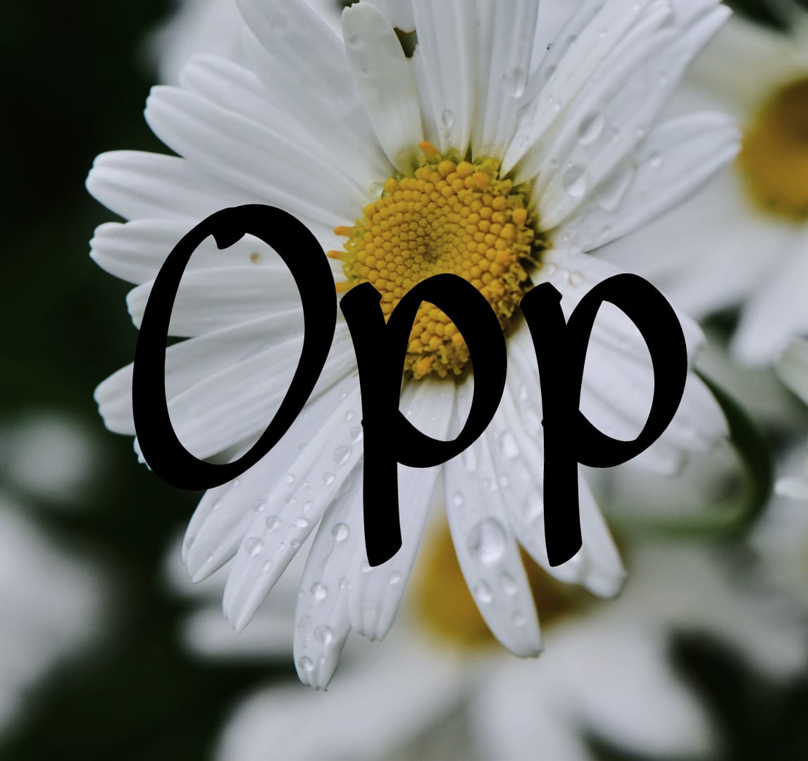 Opp Meaning and Usage 