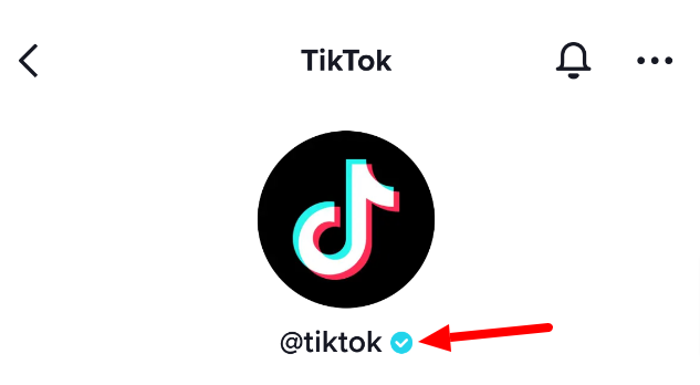 Selo de verificação do TikTok