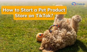 Comece uma loja de produtos para animais de estimação no TikTok