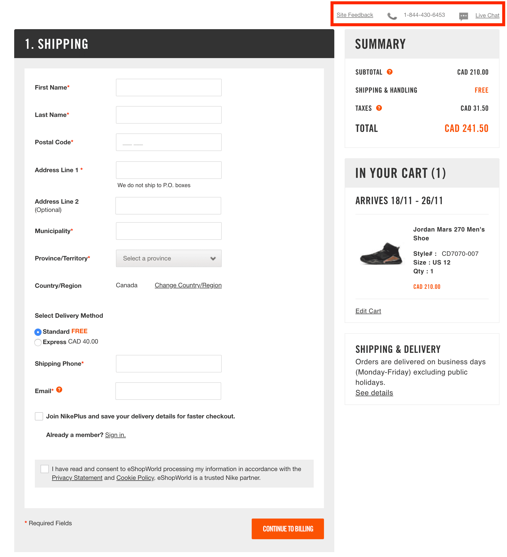 Fundamental information requirements on Nike's checkout page