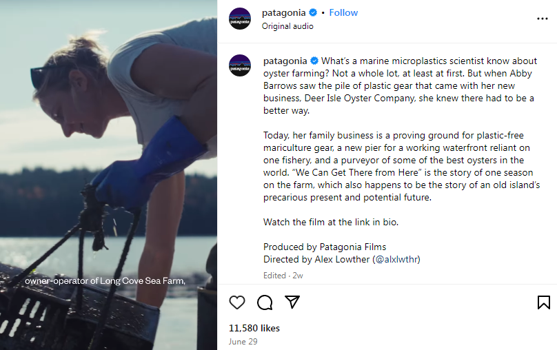 Patagonia's Instagram reel on environment issues and sustainable solutions