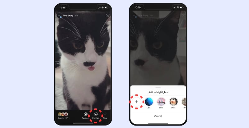 create Instagram story highlights from active story