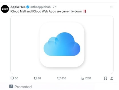 Promoted image on X