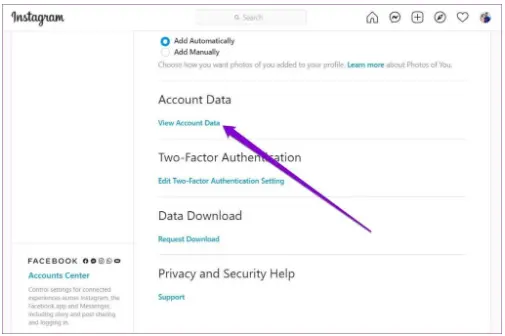 Instagram Account Data