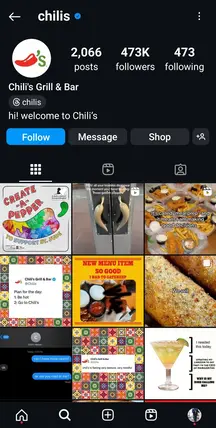 Chilis  Instagram Profile