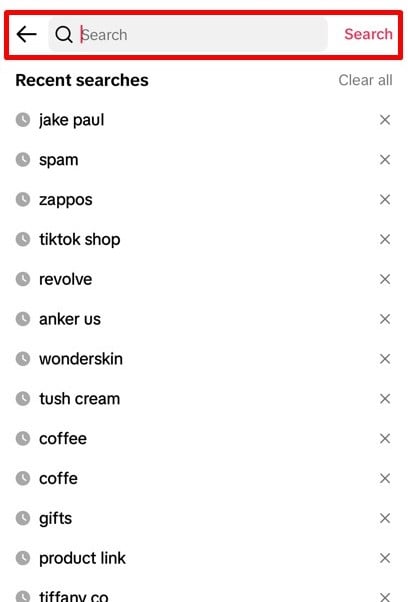 TikTok's search bar