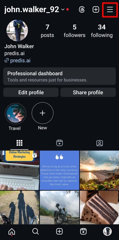 Instagram Profile view