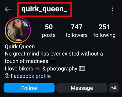 Quirky Username Idea Example