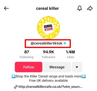 An example of funny TikTok username