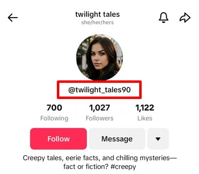 Example of aesthetic TikTok username idea