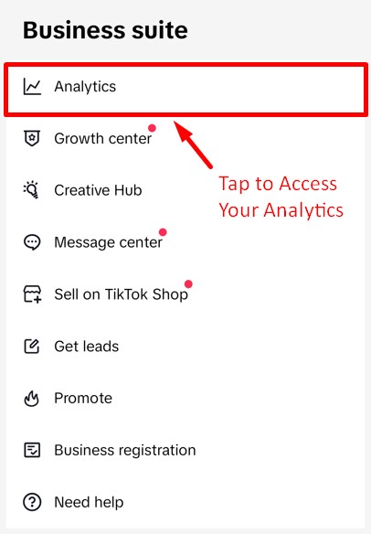 TikTok's Business Suite tab showing Analytics option