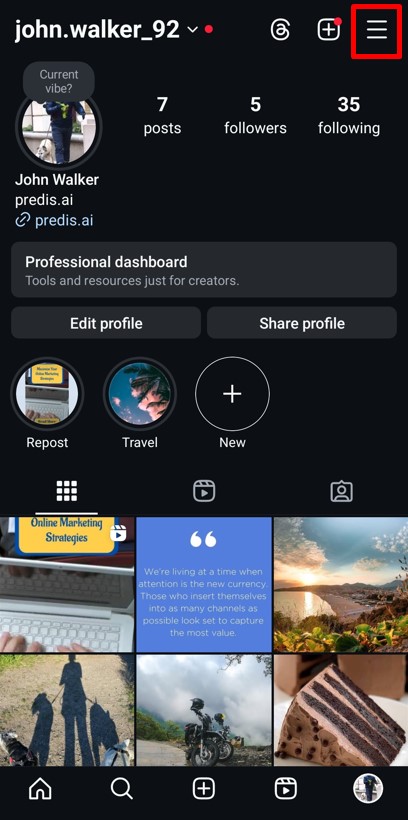 Instagram Profile view