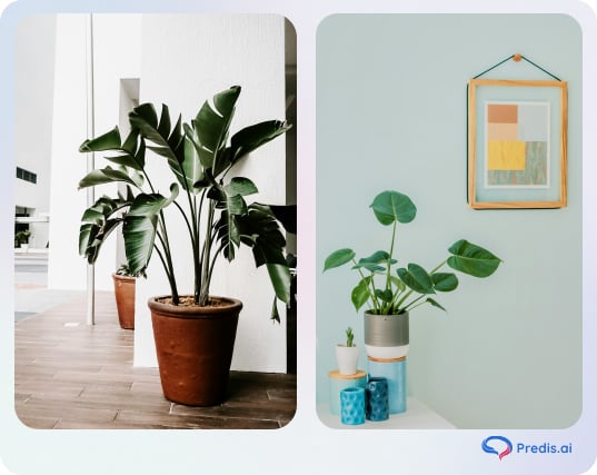 Plants and greenery home decor ideas