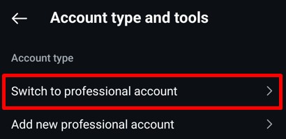 Switch to Professional Account and Add New Professional Account options