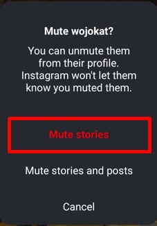 Mute Stories option available with other options