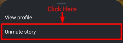 Unmute story button appears after long pressing the muted story