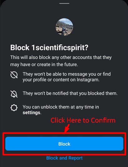 Confirmation pop-up for blocking an Instagram follower