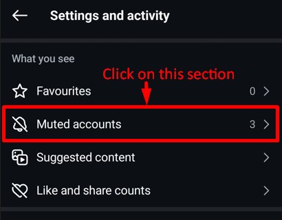 Muted Accounts option in Instagram's settings and activity tab