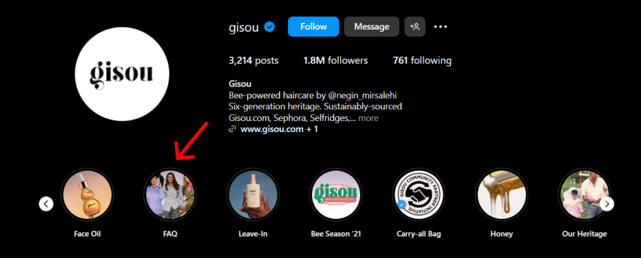 Gisou using FAQ instagram highlight strategy