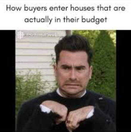 How buyers enter a house within their budget meme