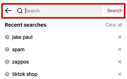 TikTok's search bar