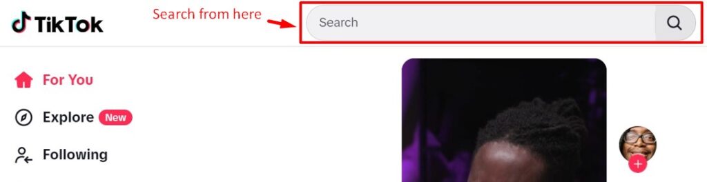 TikTok website search bar