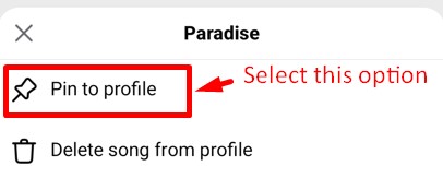 Choose Pin to profile option from the pop-up