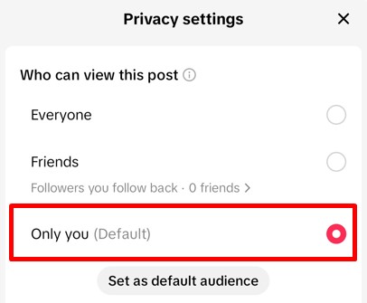 Privacy settings tab for TikTok Draft