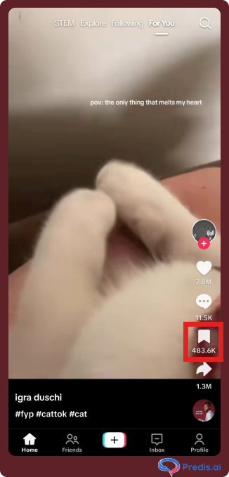 Video Using the Ribbon Icon on TikTok