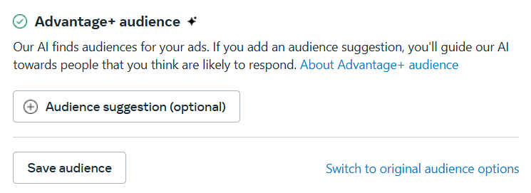 Advantage + audience option