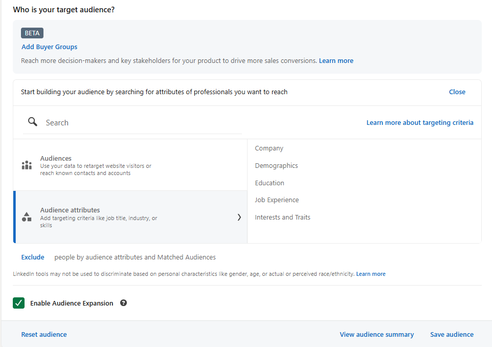 Target audience attribute setup