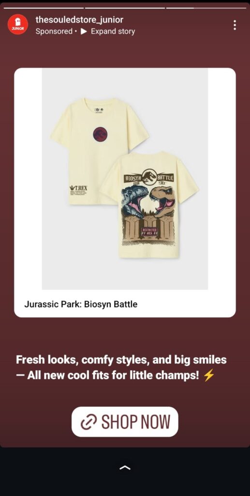 Instagram story example from souled store