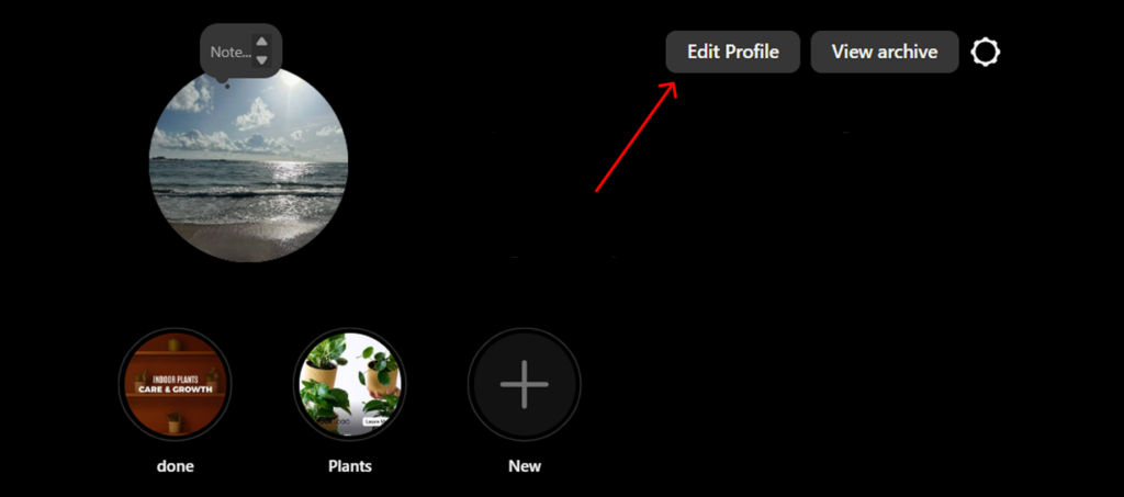 Edit profile button in Instagram