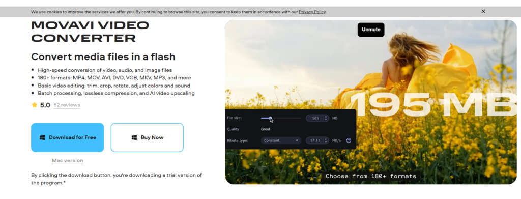Movavi video converter