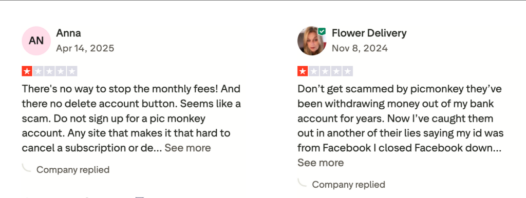 Ferramentas gráficas de mídia social PicMonkey para marketing no Shopify