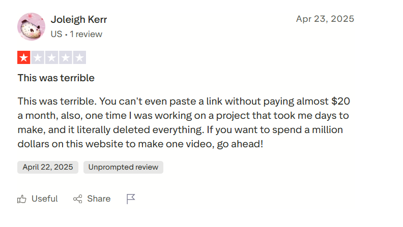 A kapwing user mentioning in a review that the product is very expensive, deletes your content without permission and that the product is not worth the money.