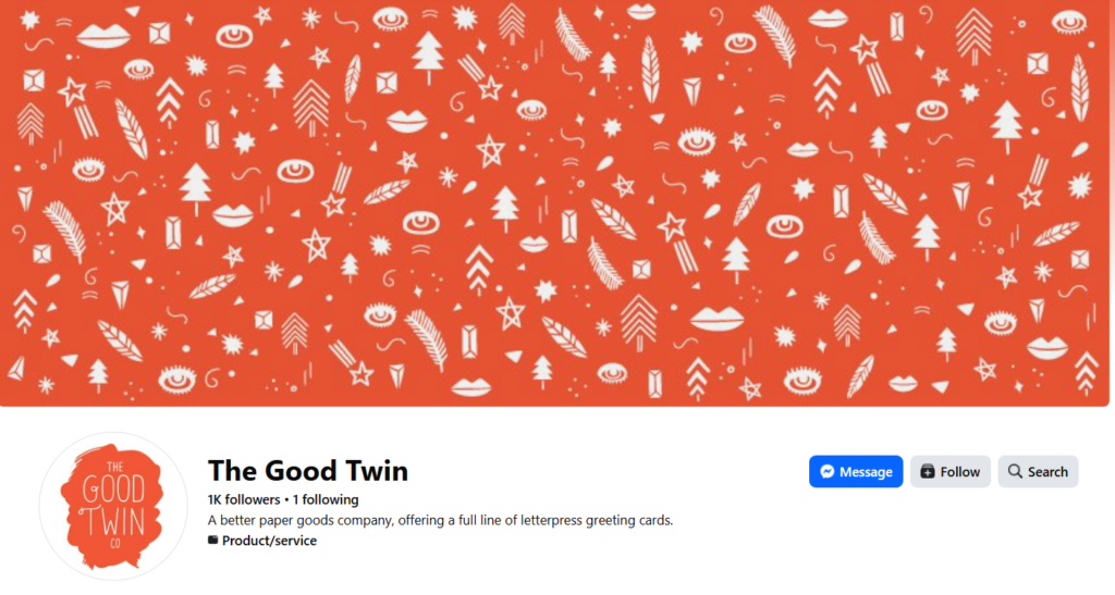 The Good Twin fb cover