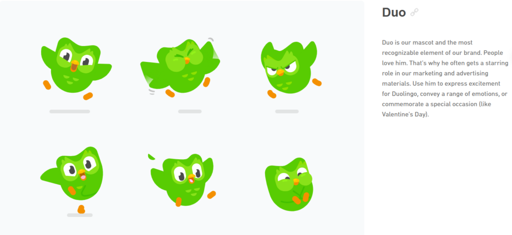 Duo - mascot illustration guidelines for Duolingo