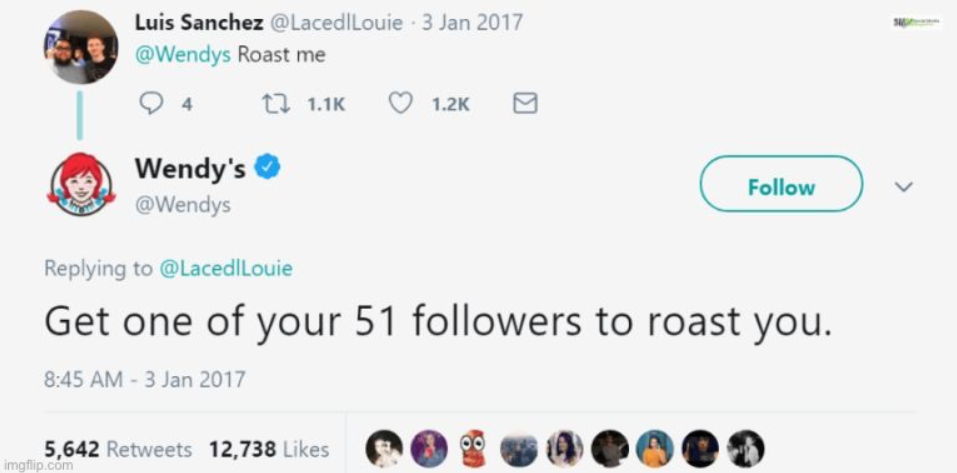 Wendy’s - "Queen of Twitter Roasts." 